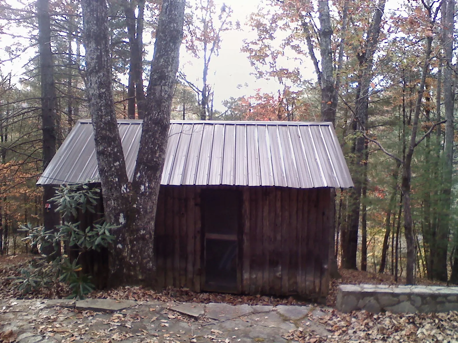 New metal gable roof on a small log shed among the trees in Bristow